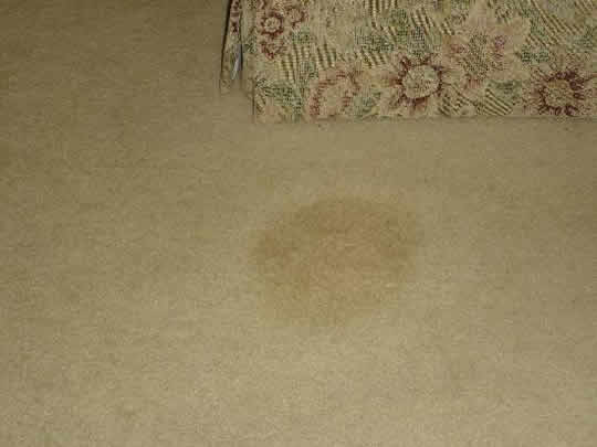 Poorly treated carpet stain